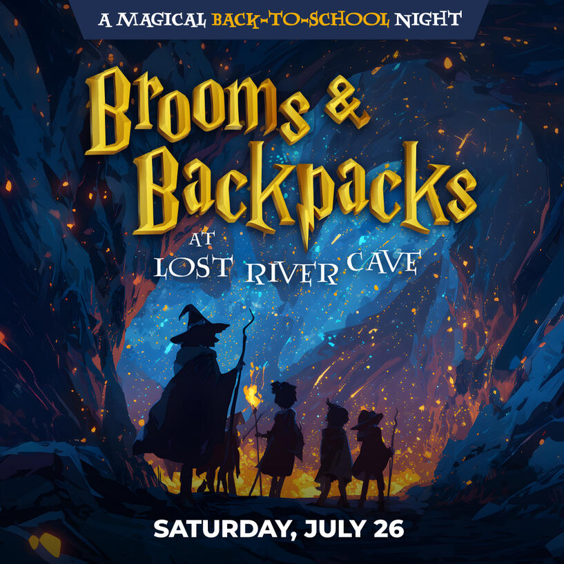 Right click and "Open in New Tab" to Zoom In